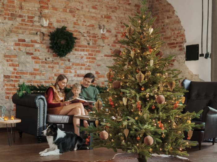 Rodzina z psem odpoczywa na kanapie, czytając książkę przy sztucznej choince FairyTrees FT06