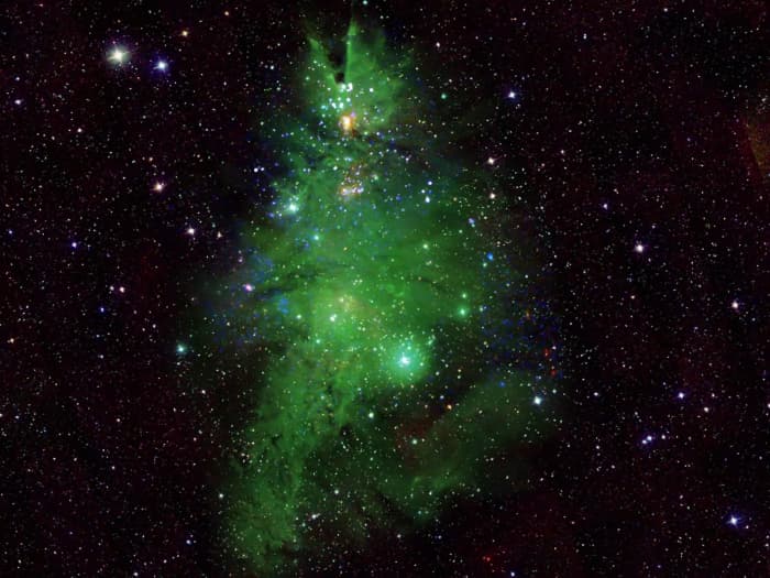 Gromada NGC 2264, nazywana „Christmas Tree Cluster”, sfotografowana przez teleskopy współpracujące z NASA