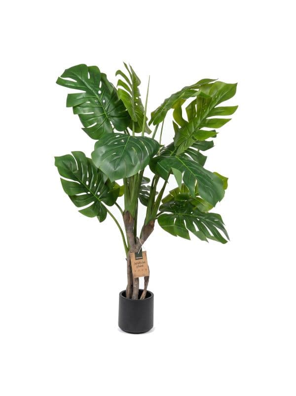 Monstera na pniu 120 cm