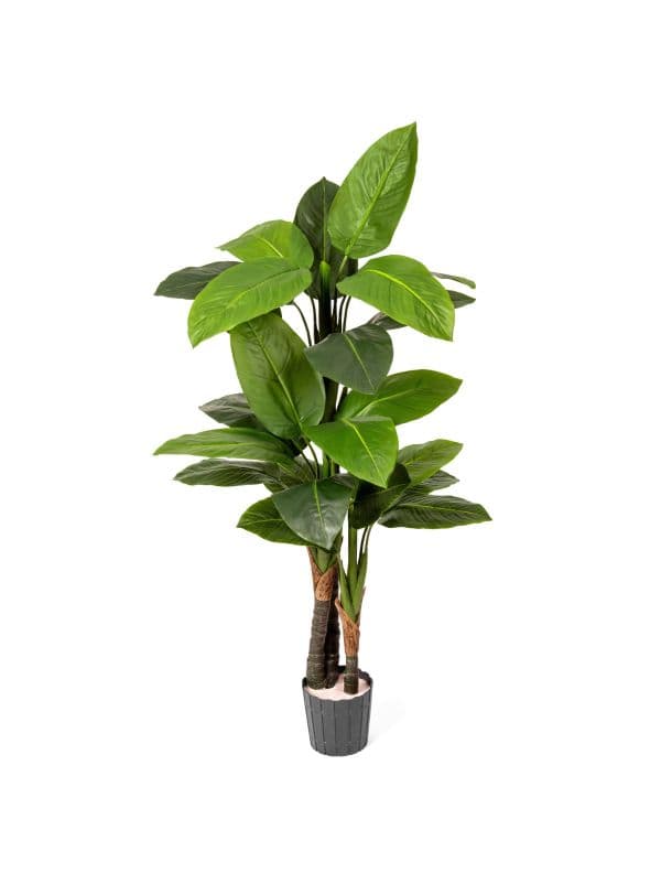 FairyTrees Sztuczna dieffenbachia 160 cm - 27 liści - zielona - duża roślina w doniczce