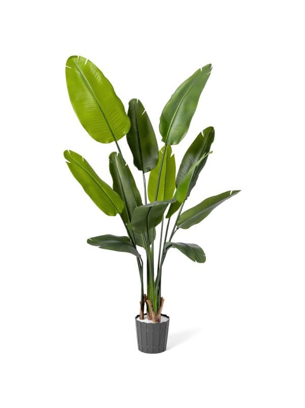 Sztuczna strelicja 165 cm FairyTrees o smukłej formie i dużych, podłużnych liściach na jasnym tle.