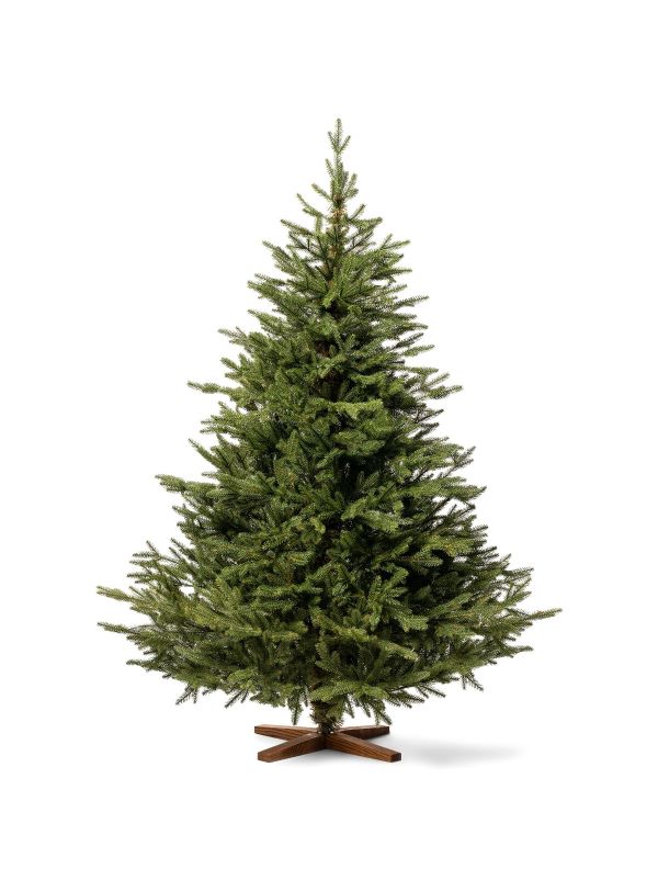Sztuczna choinka FairyTrees FT06-180 – jodła Nordmanna o wysokości 180 cm, z gałązkami w 100% wykonanymi z polietylenu formowanego wtryskowo i stabilnym jesionowym stojakiem.