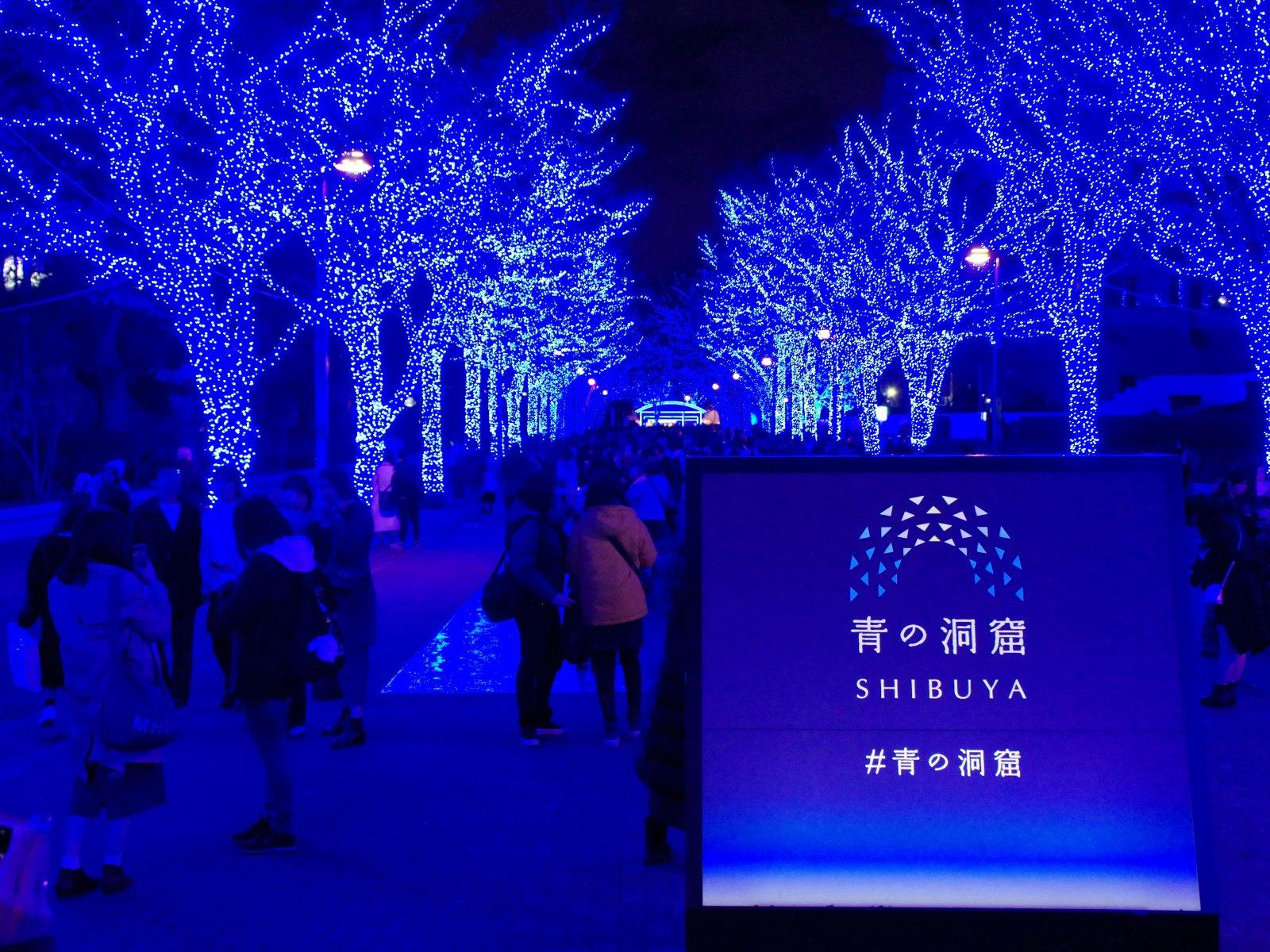 Świąteczna iluminacja drzew w Tokio, w okolicach Shibuyi, znana jako Blue Cave.