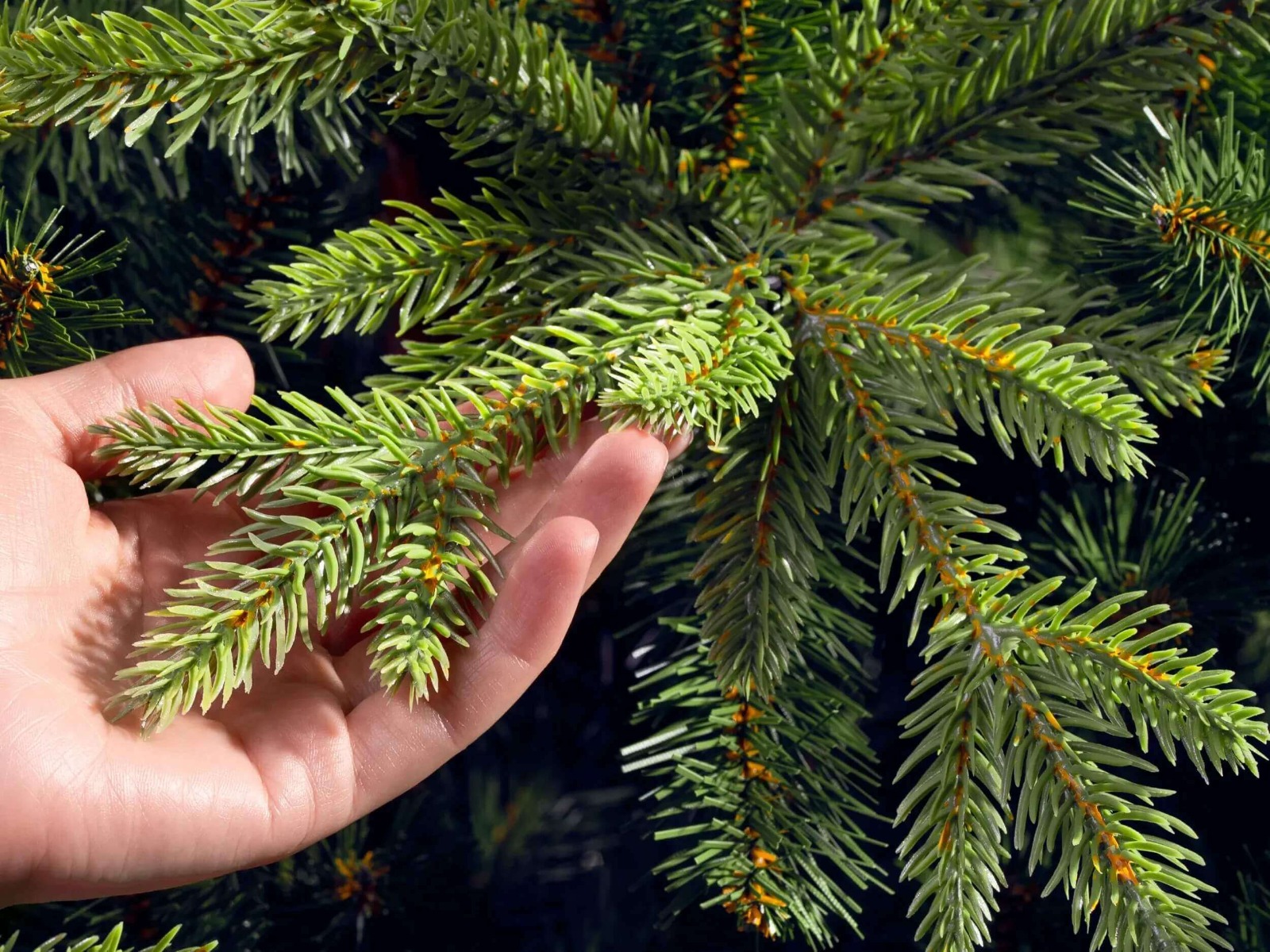 Choinka sztuczna FairyTrees FT06 w zbliżeniu na gałązkę formowaną wtryskowo PE