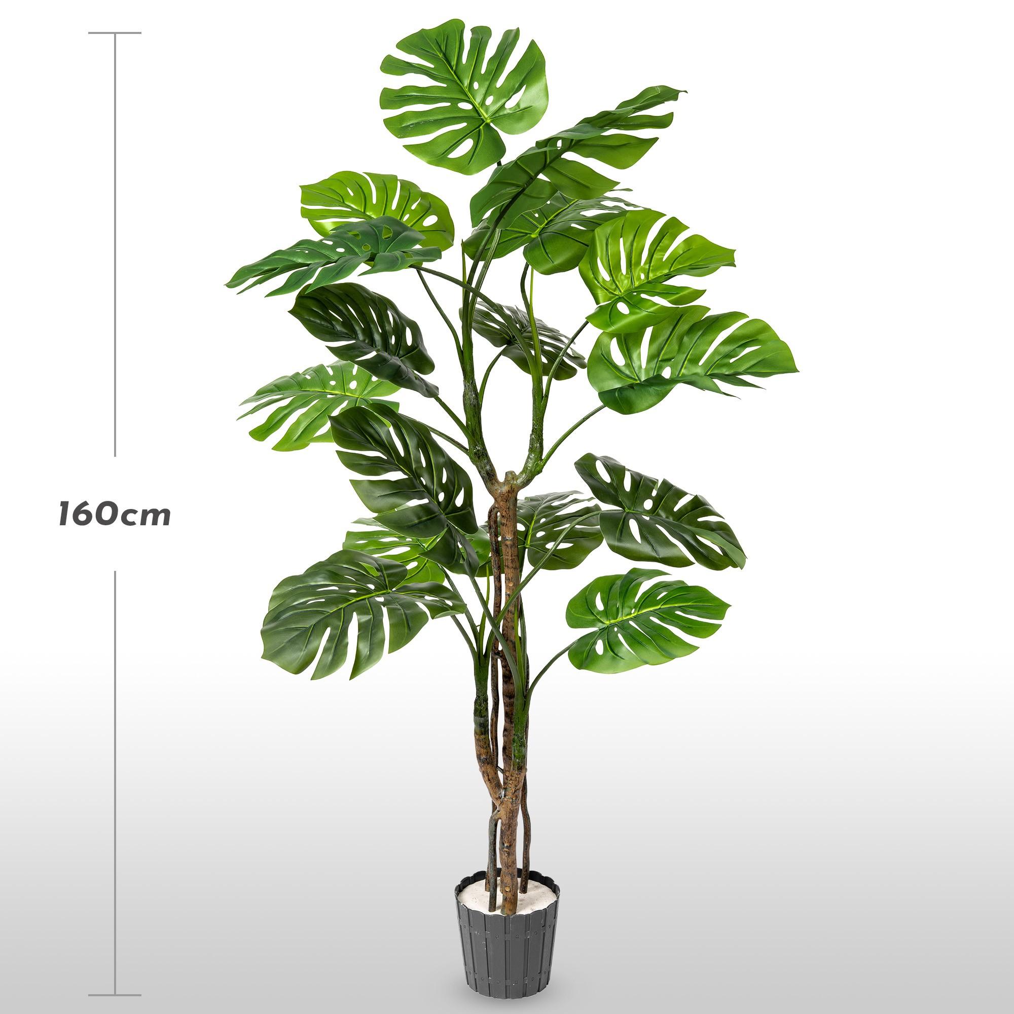 Sztuczna monstera na pniu 160 cm FairyTrees na jasnym tle z oznaczoną wysokością rośliny.